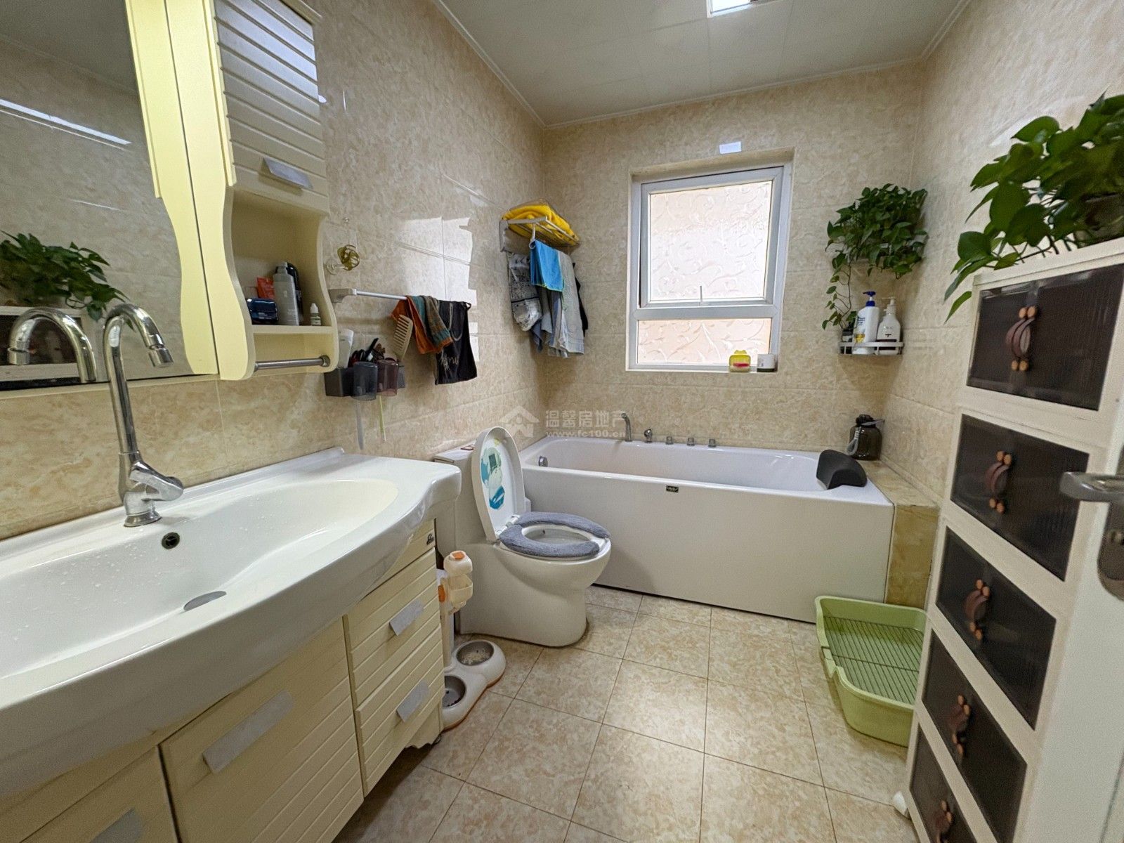 M-42182二手房图片