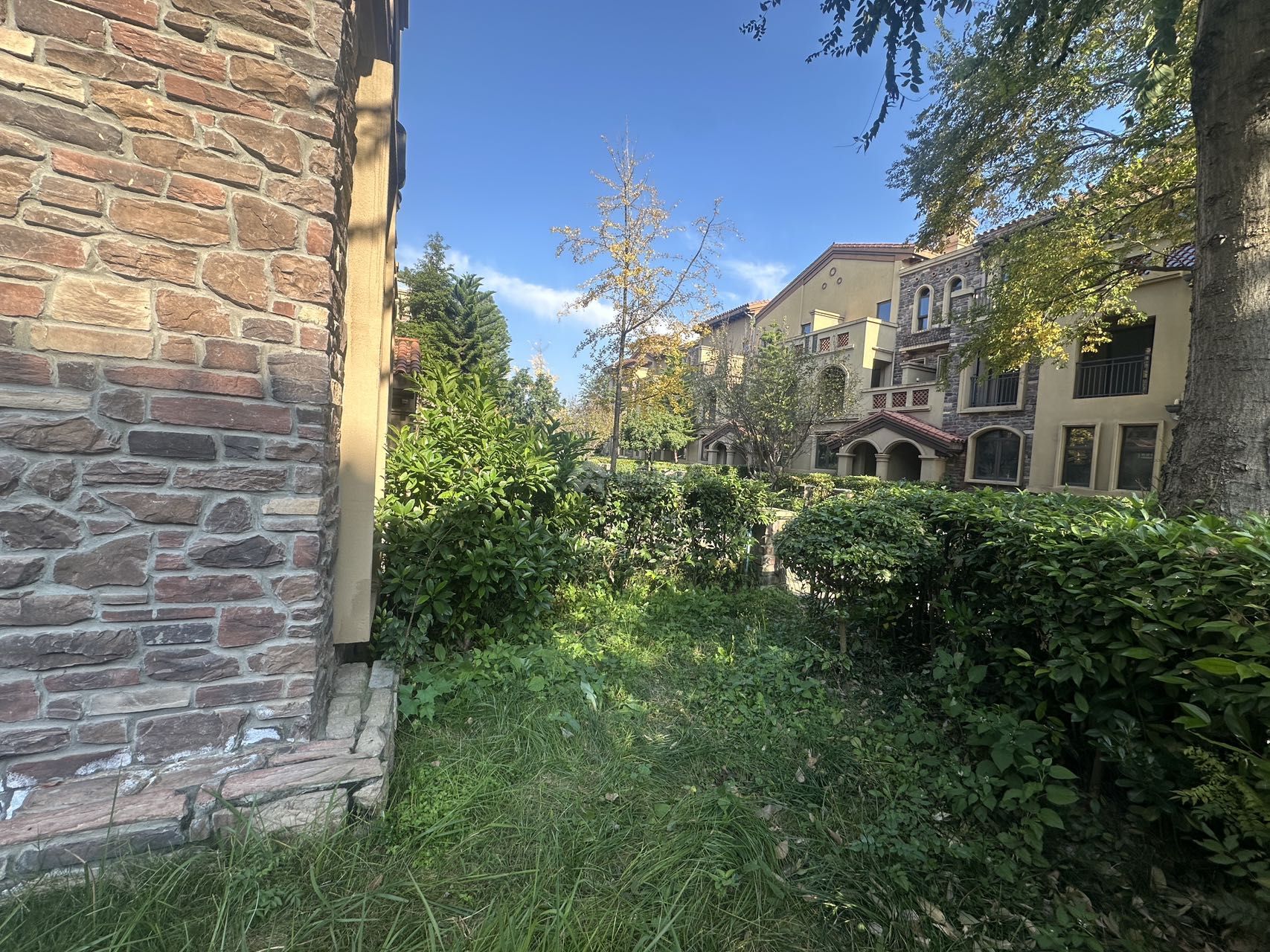 M-41206二手房图片