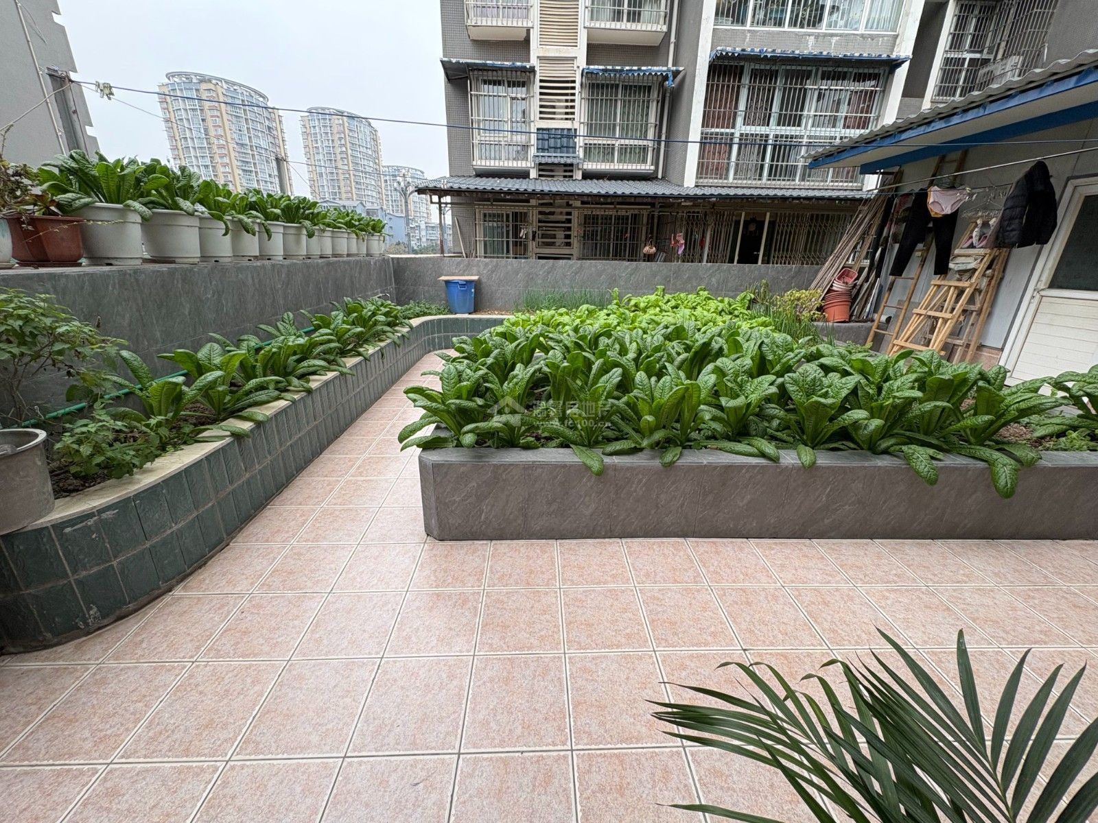 M-41641二手房图片