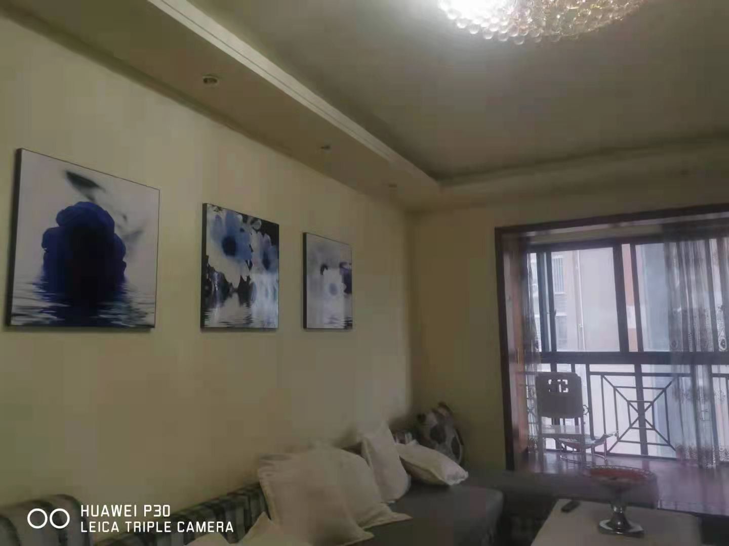 Z-12116二手房图片