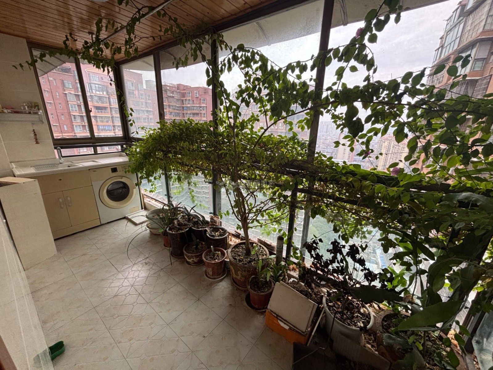 Z-39697二手房图片