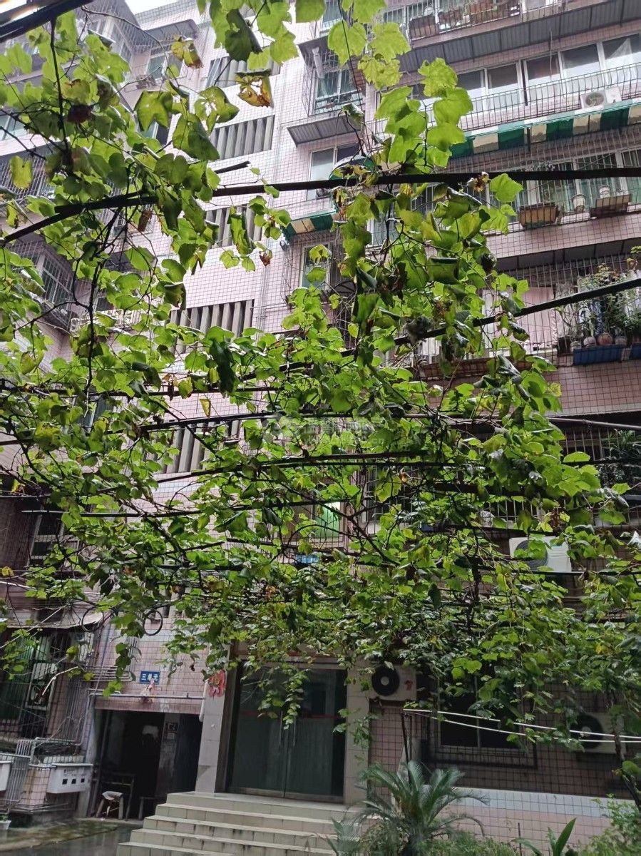 Z-40921二手房图片