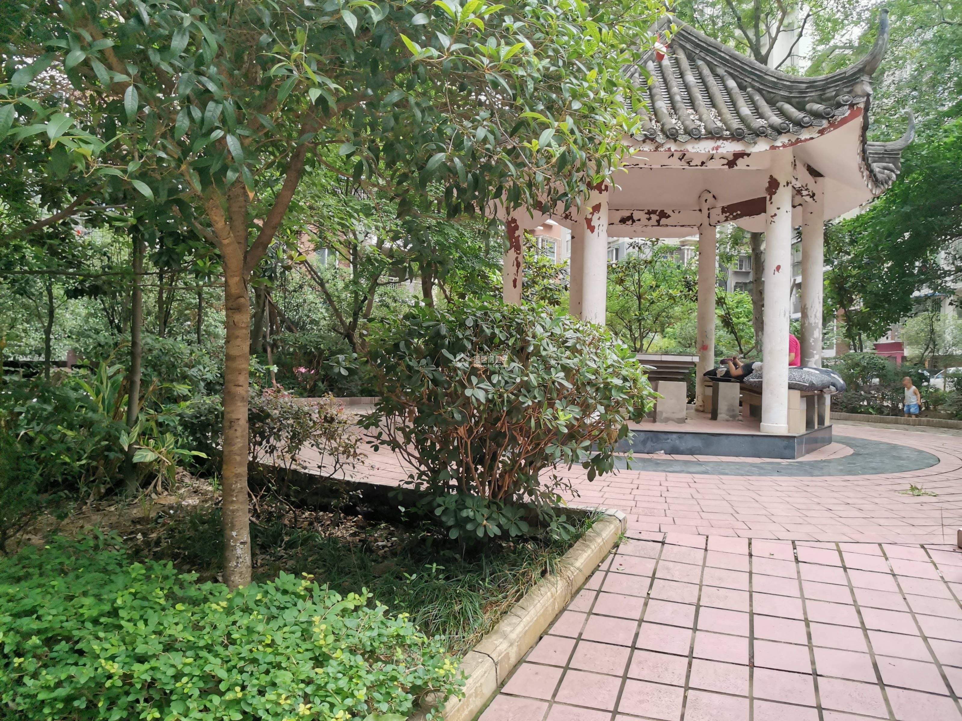 阳晨D区图片