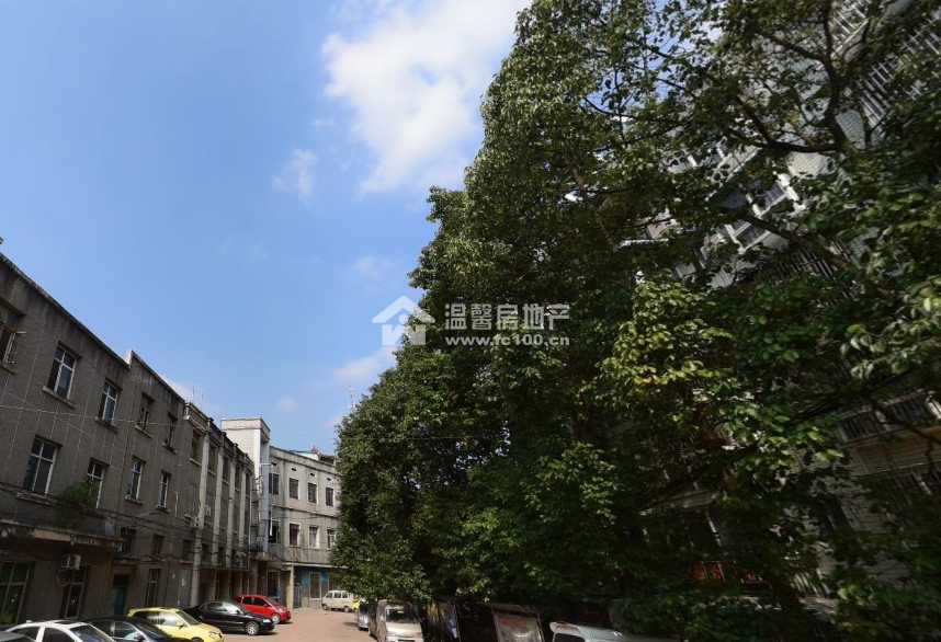 华西美庐图片
