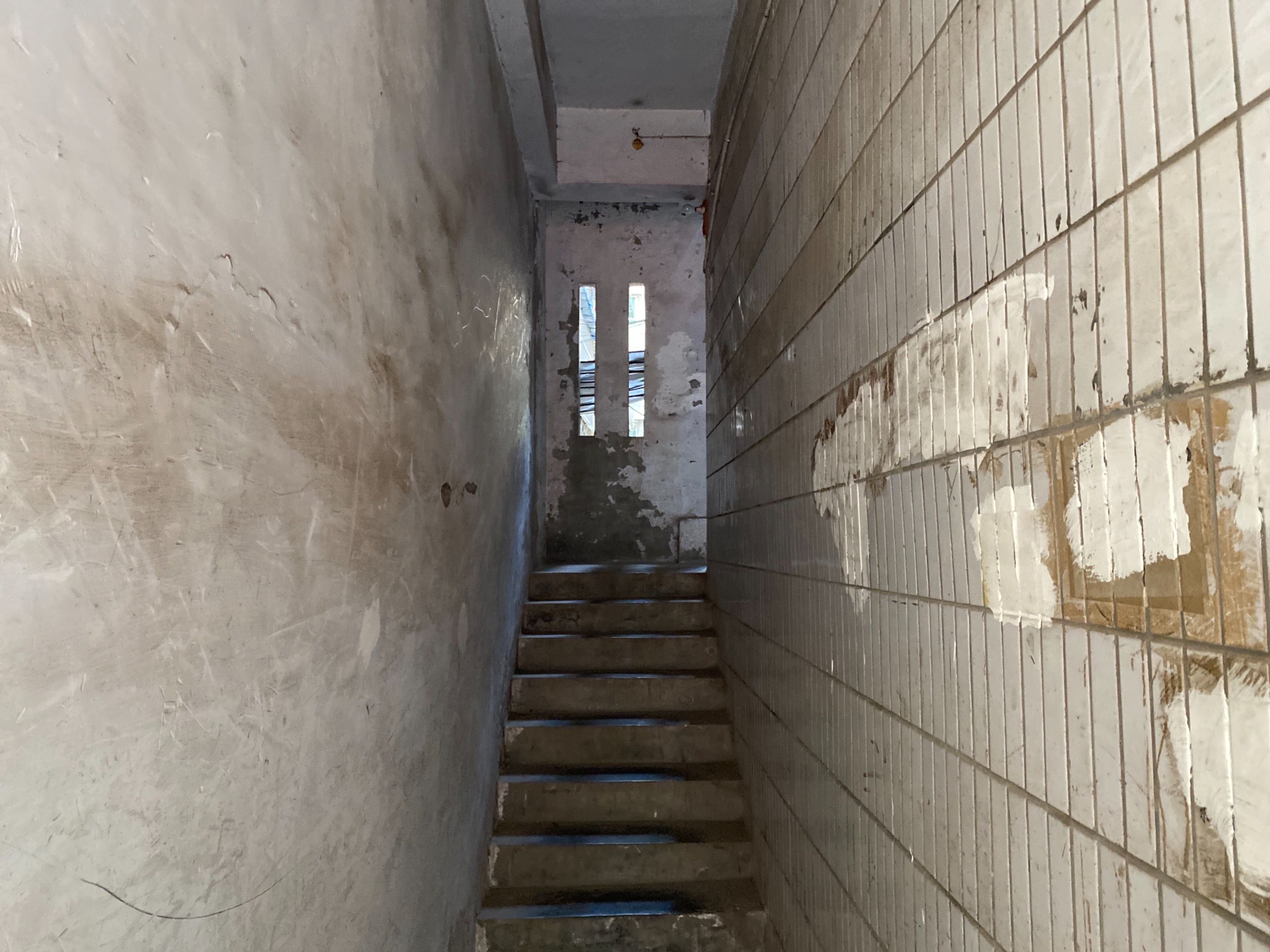 红建路北段244号图片